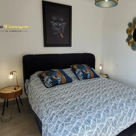 A Pinarello Corse Du Sud 4 Pers Vue * سانت لوسي دي بورتو فيشيو