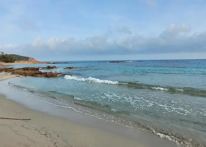 Apartment A Pinarello Corse Du Sud 4 Pers Vue